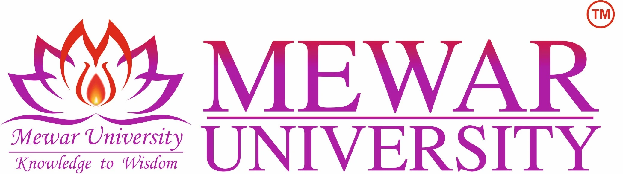 Mewar University
